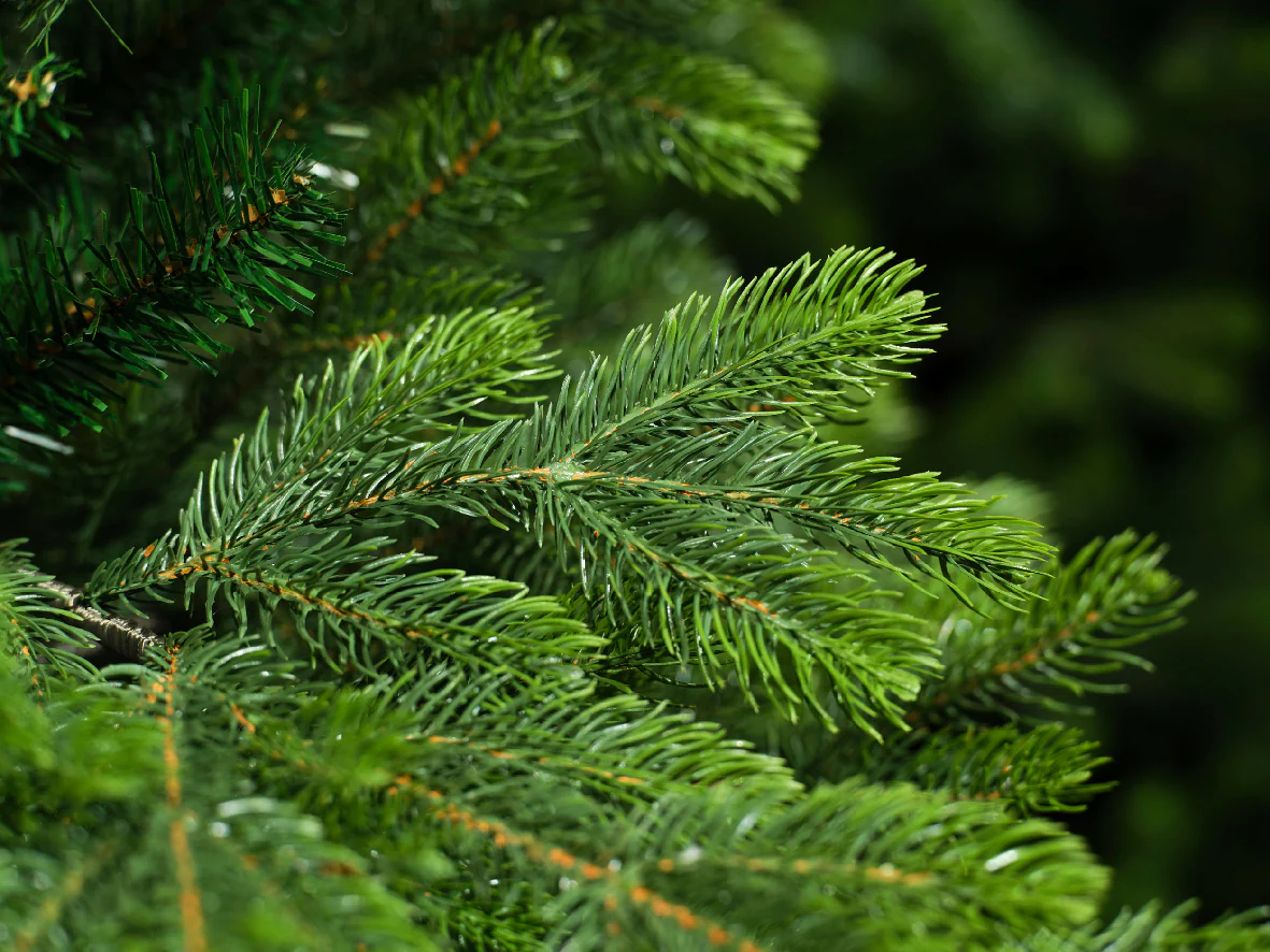 Everlands Arlberg Fir Artificial Pre-shaped Christmas Tree - Image 4