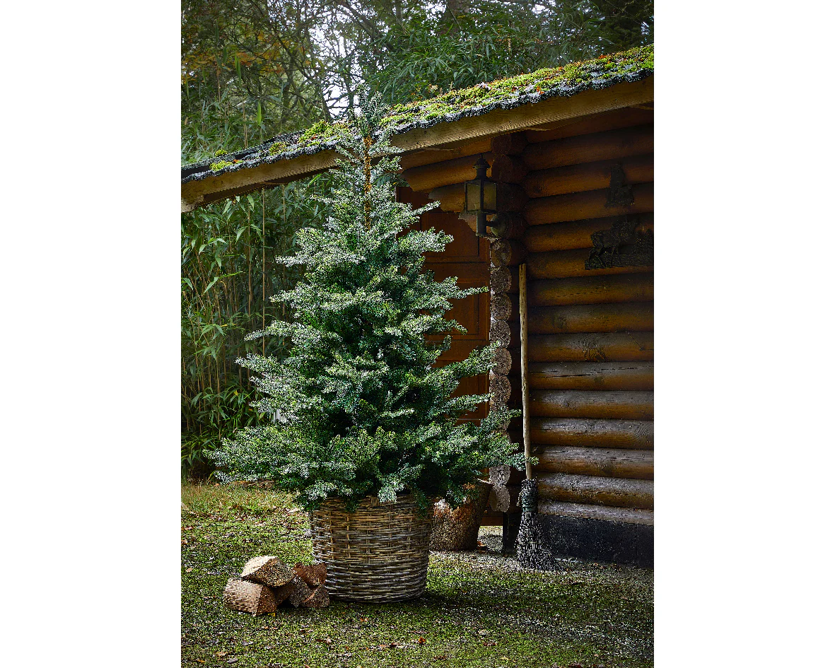 Everlands Grandis Fir Artificial Christmas Tree - Image 5