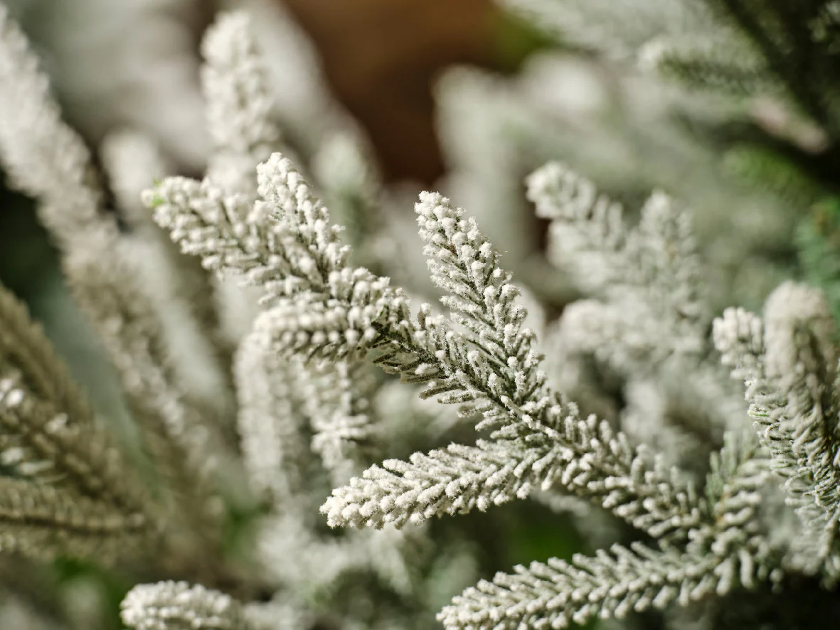 Everlands Norway Spruce Snowy Artificial Pre-shaped Christmas Tree - Image 4